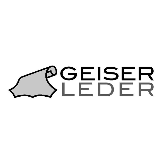 Geiser